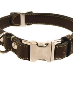 phoenix charm premium leather adjustable side release dog collar