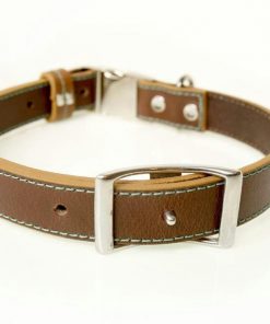 51AQr85QyqL._SL1000_