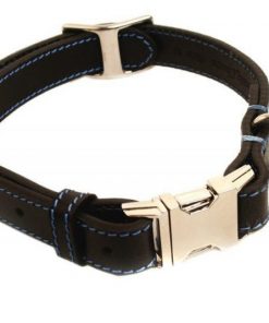phoenix charm premium leather adjustable side release dog collar