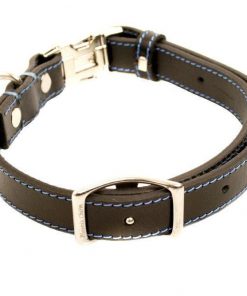 51H0RgqyrQL._SL1000_