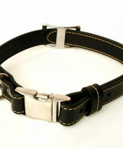 Black collar yellow stitches