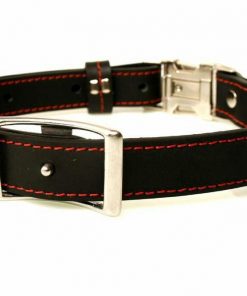 phoenix charm premium leather adjustable side release dog collar