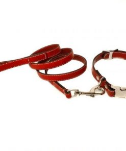 51hAD068V5L._SL1280_