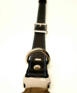 black collar blue stitches
