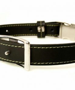 phoenix charm premium leather adjustable side release dog collar