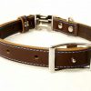 leather dog collar