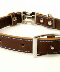 leather dog collar