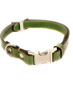 phoenix charm premium leather adjustable side release dog collar