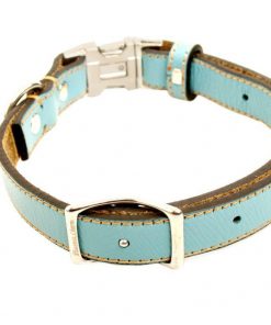 61cbbv4lD2L._SL1280_