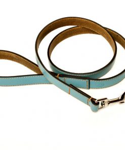 light blue collar & leash