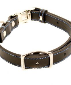 photoBLK_2017-01-04_11-50-01