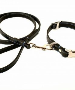 photoBLK_2017-01-04_11-52-26