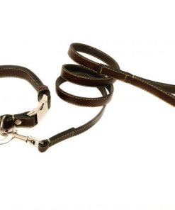 photoBRW_2017-01-04_11-50-10