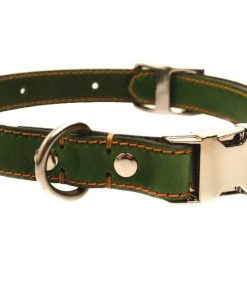 photo_2017-01-04_11-43-31