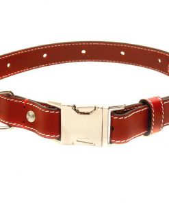 photo_2017-01-04_11-43-48