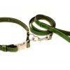 Premium Leather Dog Collar with Lead Set