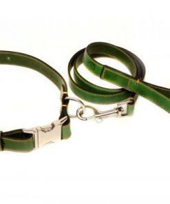 Premium Leather Dog Collar with Lead Set