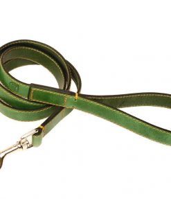 photo_2017-01-04_11-44-37