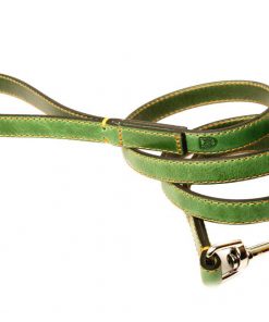 photo_2017-01-04_11-50-24