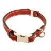 Premium leather dog collar
