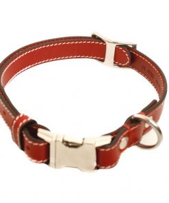 Premium leather dog collar