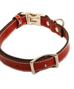 photo_2017-01-04_11-51-46