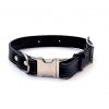 Leather dog collar