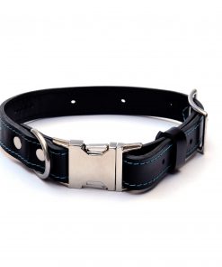 Leather dog collar