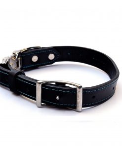 medium collar B3