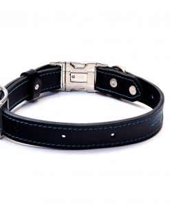 medium Collar B1