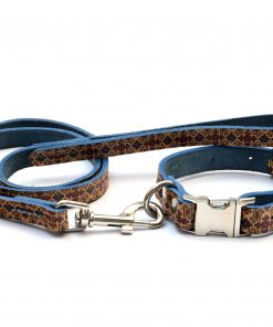 leather dog collar & lead set