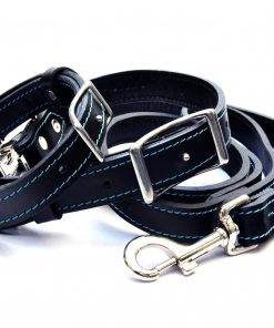 Phoenix Charm Handcrafted Premium Soft Leather Dog Collar & Lead Set - Fully Adjustable Metal Side Release Buckle - Branded Drawstring Bag & Gift Box - Durable, Comfortable & Stylish