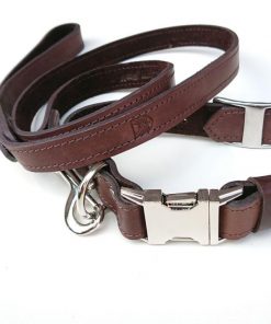 Leather Dog Collar & Lead Set