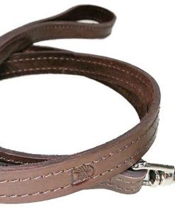 Leather Dog Lead