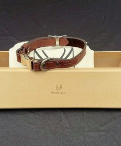 leather dog collar