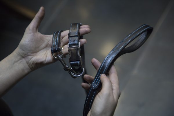 Premium Leather Pet Accessories